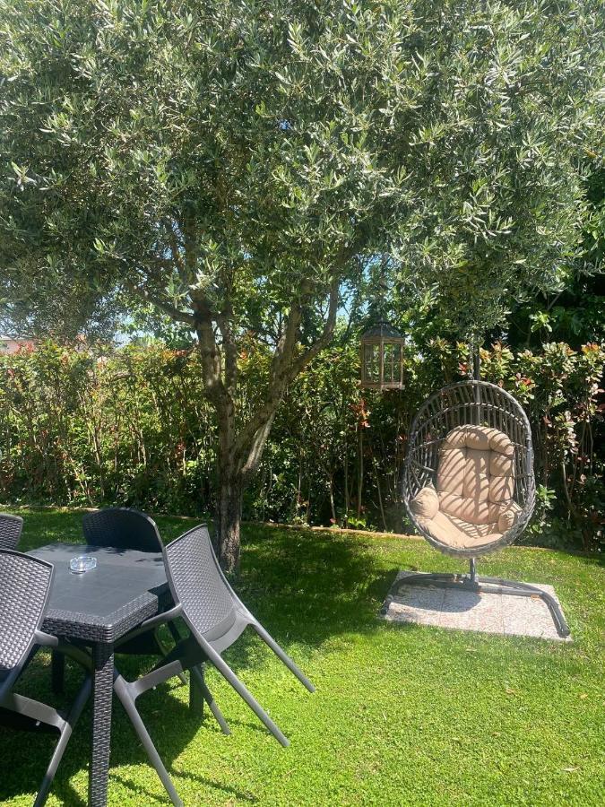 Albachiara Holiday home *